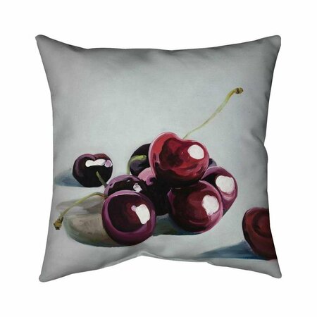 FONDO 20 x 20 in. Glossy Dark Cherries-Double Sided Print Indoor Pillow FO2772420